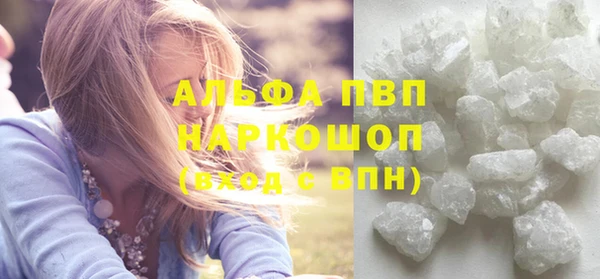 spice Гусиноозёрск