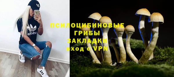 альфа пвп Горняк