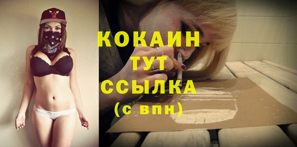 ECSTASY Дмитровск