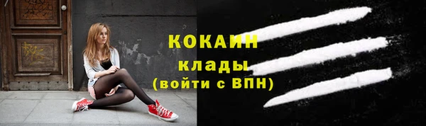 стаф Гусь-Хрустальный