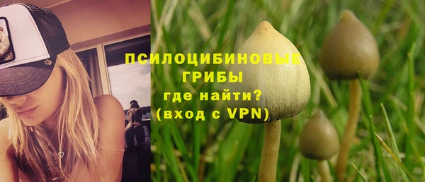 стаф Гусь-Хрустальный