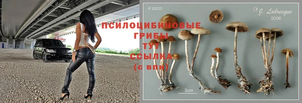 не бодяженный Шадринск